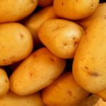 Откраднаха 5 тона картофи от хале в Алино