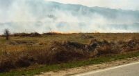Със затоплянето на времето в края на март нарасна и опасността от пожари. Треви и храсти се запалиха край Алино на 2 април. Огънят тръгнал от подпалено стърнище и се […]
