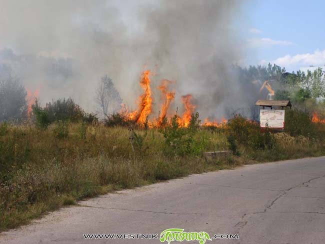 В Самоковски район са регистрирани общо 4 пожара в първите дни на месеца, информираха на 5 март от Югозападното държавно предпирятие с център Благоевград. Всички тези инциденти са причинени от […]