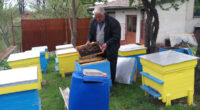 „Пчелите ми измряха. Моля ви, призовете, когато се пръска, да се предупреждават пчеларите предварително, за да си затворят навреме кошерите и да предпазят пчелите. Иначе и мед няма да има…”, […]